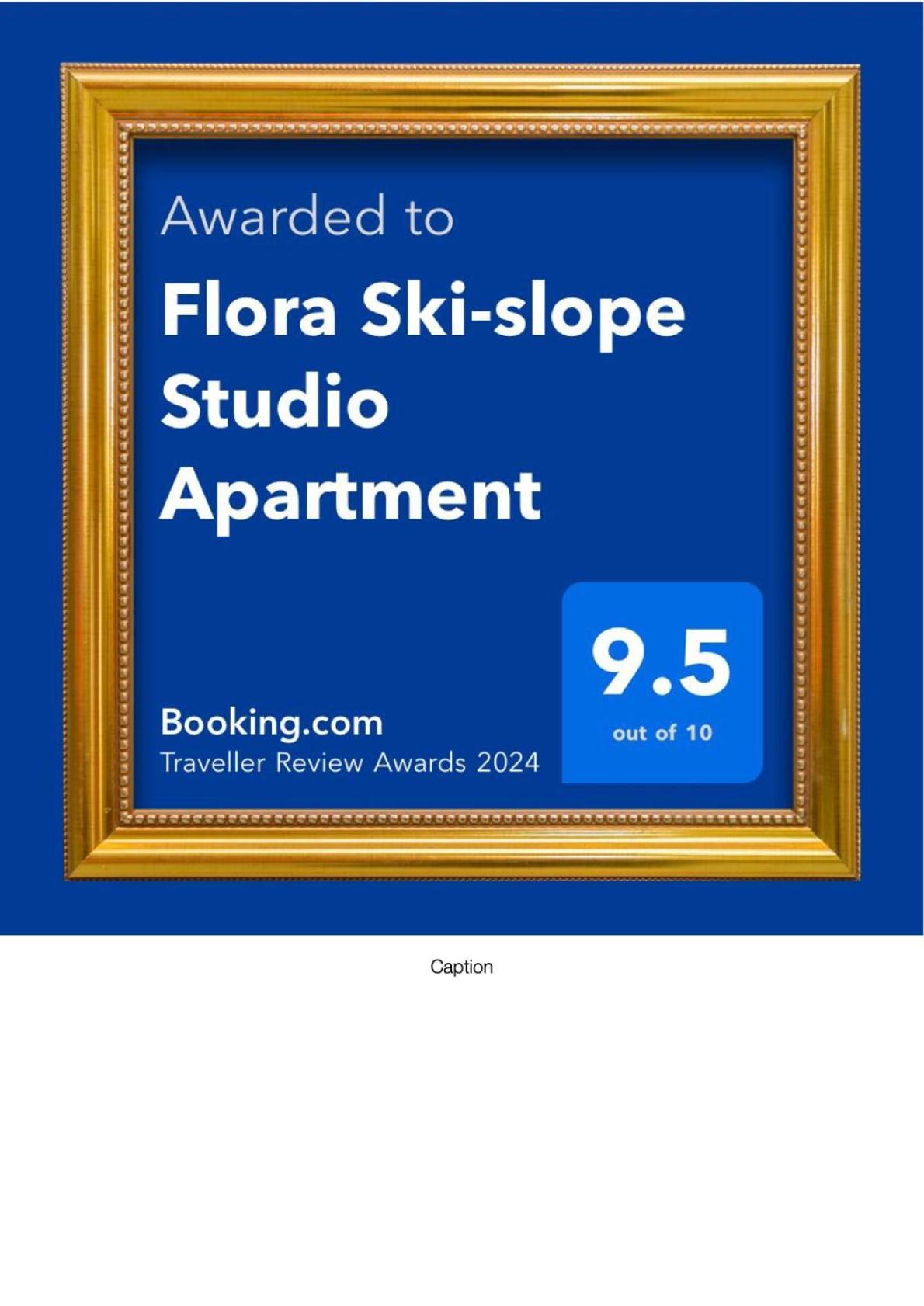 Flora Ski-Slope Studio Apartment 波罗维茨 外观 照片